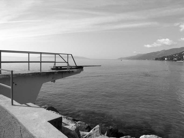 15_plongeon