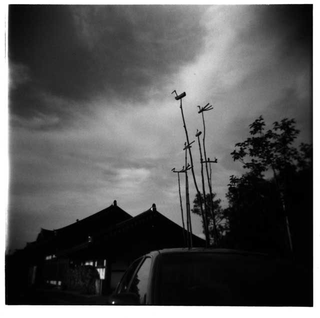 29_lenvol